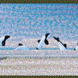 009. Orcas, Charles Turnell