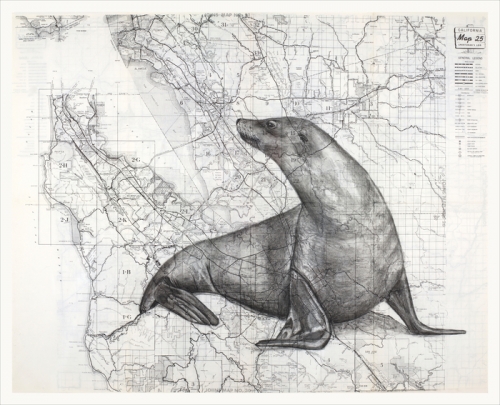 083. Bay Area Sea Lion on Vintage CA Map, Linda Legman