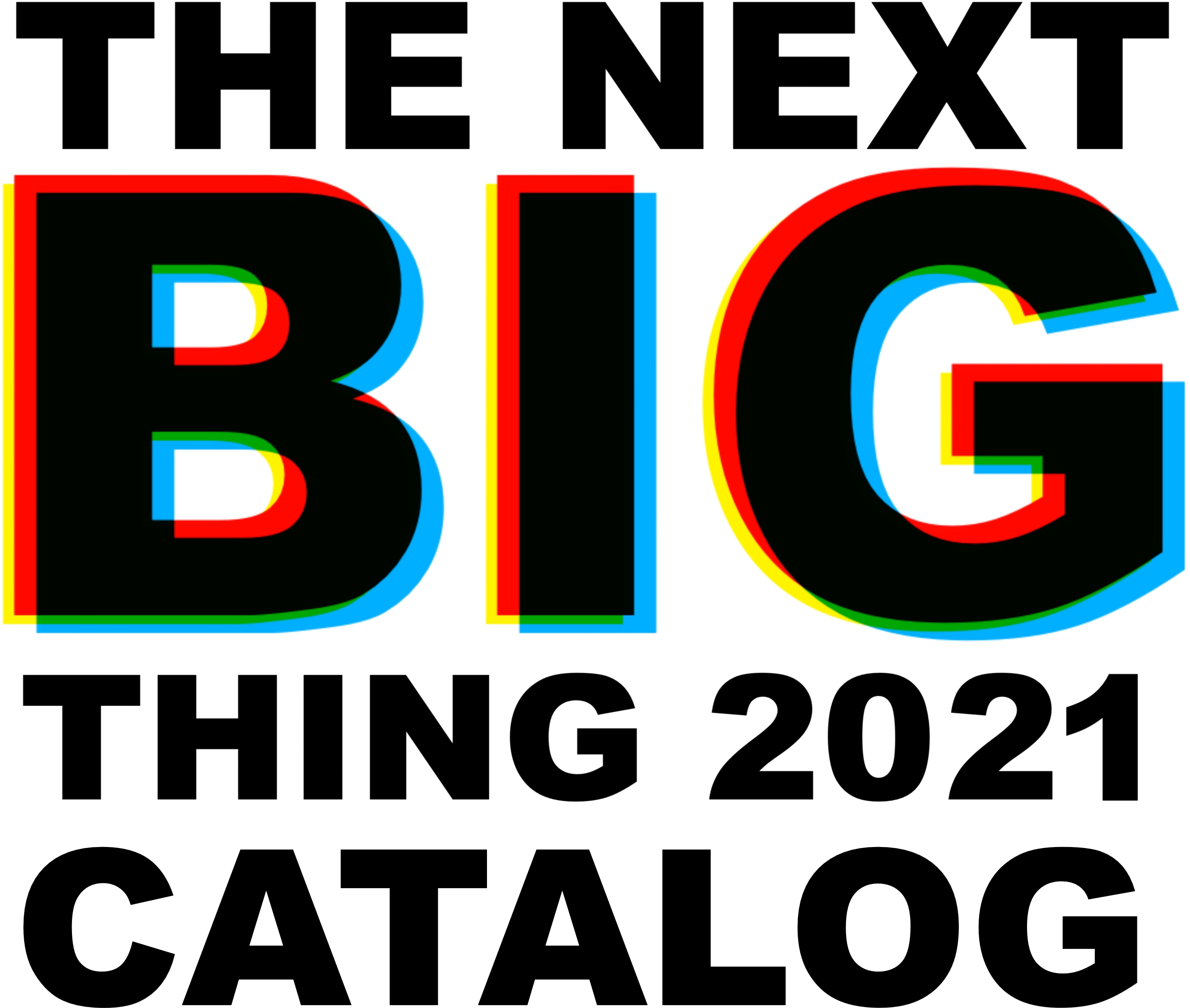 The Next Big Thing 2021 Catalog